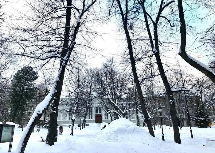 Scandinavian Home 21 In Heard City